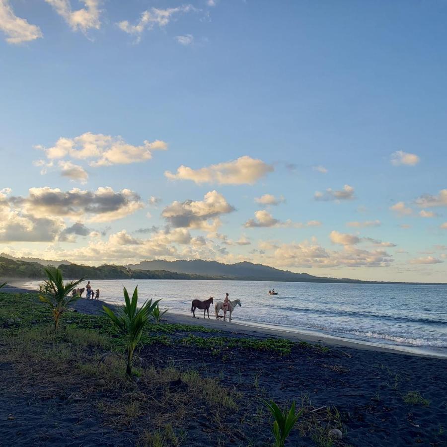 Playa Negra Brewing Beachfront Hotel Puerto Viejo de Talamanca Buitenkant foto
